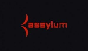 ASSYLUM STANDARD MEMBERSHIP | 30 DAYS WARRANTY