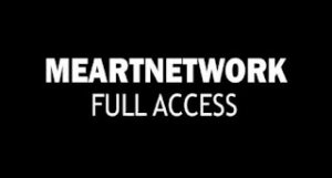 METARTNETWORK ACCOUNT +30 DAYS WARRANTY (3 IN ONE)
