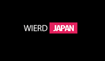 WIREDJAPAN PREMIUM | 30 DAYS WARRANTY