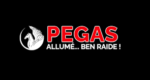 PEGASPRODUCTIONS PREMIUM | + 30 DAYS WARRANTY