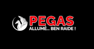 PEGASPRODUCTIONS PREMIUM | + 30 DAYS WARRANTY