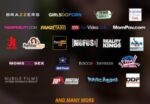 Brazzers PornPortal Account With Premium Access To Many Network Site